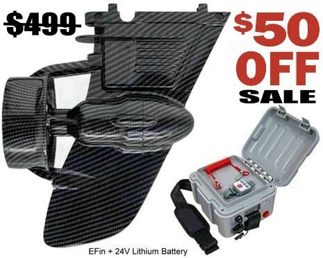 Sale on electric fin